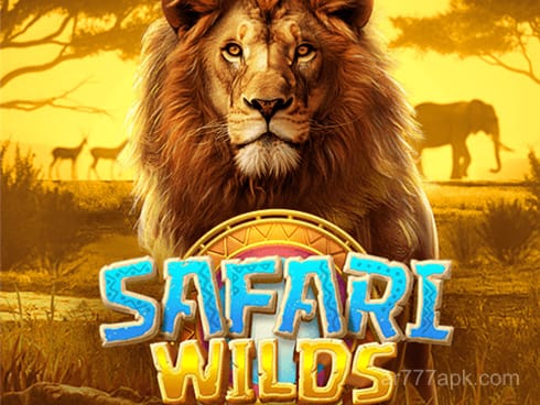 Safari Wilds